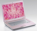 Sony VAIO VGN-CR120E/P