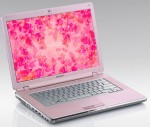 Sony VAIO VGN-CR31SR/P